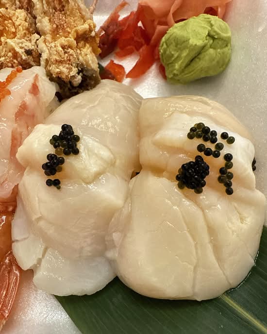 Japanese Scallop.